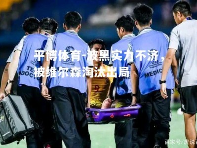 平博体育-波黑实力不济，被维尔森淘汰出局