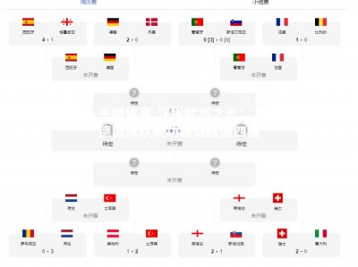 平博体育-汉堡欧洲之光：德国球队成功晋级欧冠四强