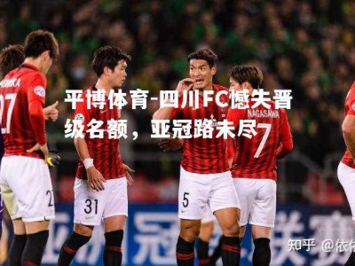 平博体育-四川FC憾失晋级名额，亚冠路未尽