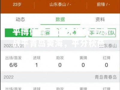 平博体育-天津天海在主场战平青岛黄海，平分秋色