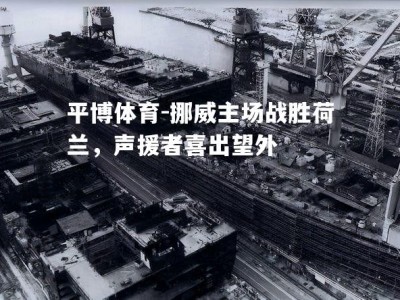 平博体育-挪威主场战胜荷兰，声援者喜出望外