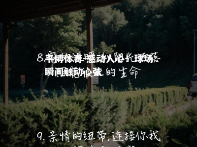 平博体育-感动人心！球场瞬间触动心弦