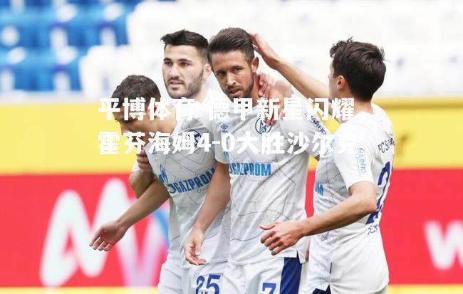 德甲新星闪耀，霍芬海姆4-0大胜沙尔克