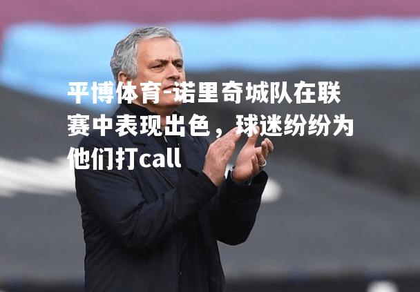 诺里奇城队在联赛中表现出色，球迷纷纷为他们打call